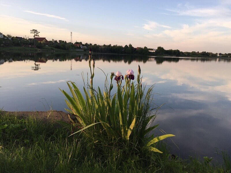 lacul peris - pescuit sportiv si peste proaspat