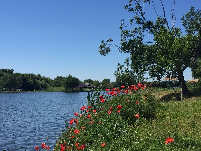 lacul peris - pescuit sportiv si peste proaspat