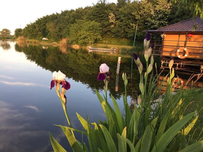 lacul peris - pescuit sportiv si peste proaspat