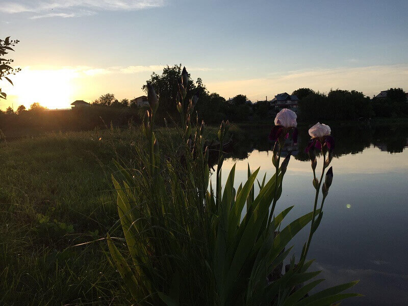 lacul peris - pescuit sportiv si peste proaspat