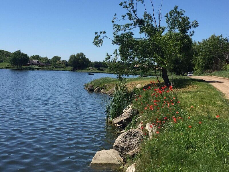 lacul peris - pescuit sportiv si peste proaspat