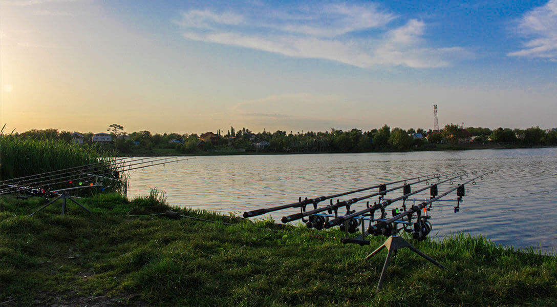 lacul peris - pescuit sportiv si peste proaspat